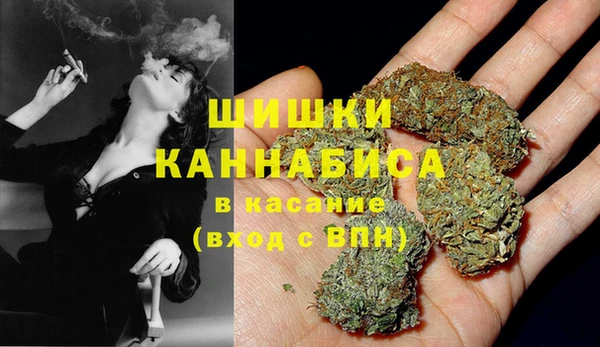 сатива Зерноград