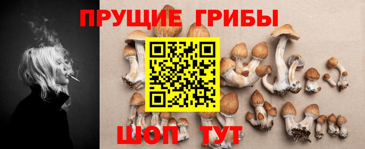 Псилоцибиновые грибы GOLDEN TEACHER  Вход с VPN  Кострома 