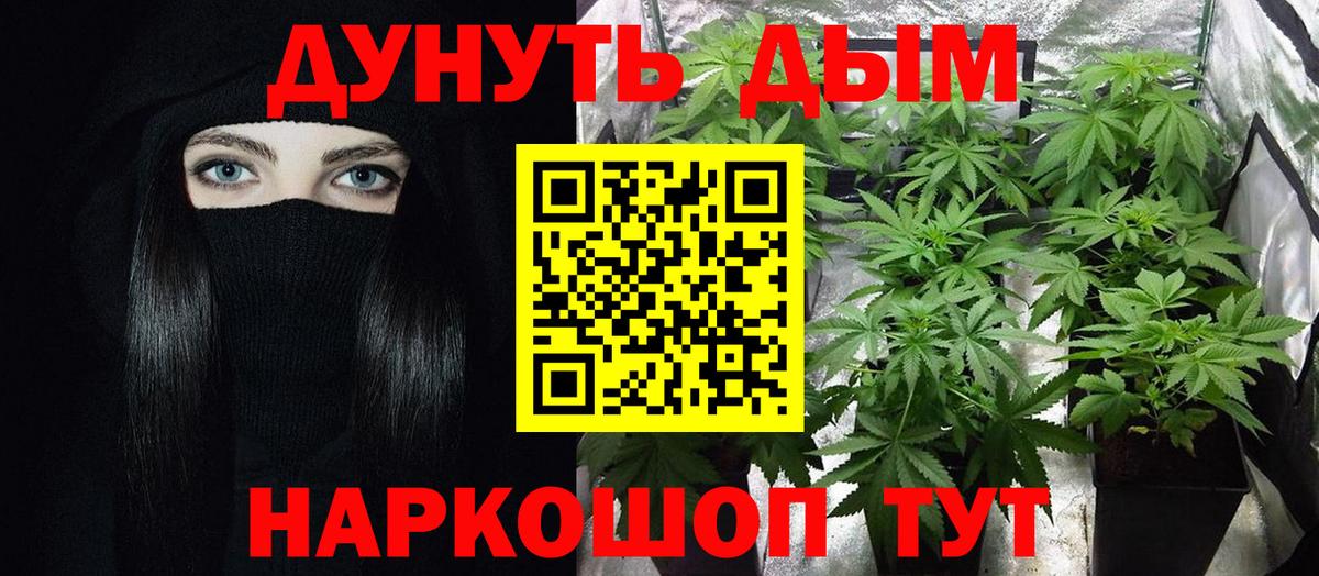 Канабис конопля Кострома